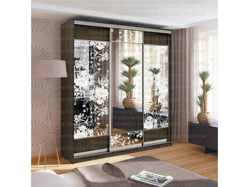 шкаф-купе аристо 5 в Нижневартовске