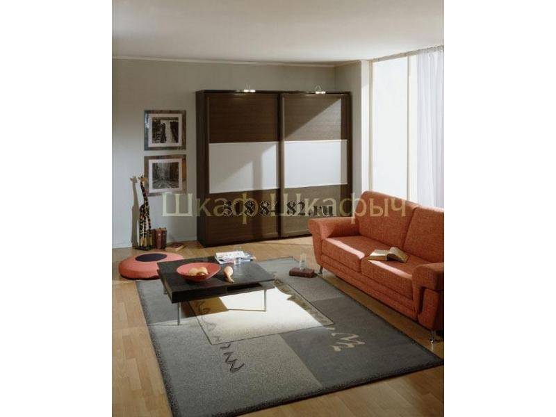 шкаф-купе в гостиную в Нижневартовске