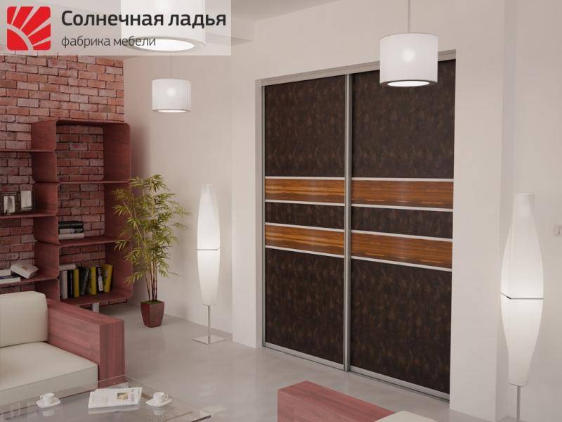 шкаф - купе для гостиной 17 в Нижневартовске