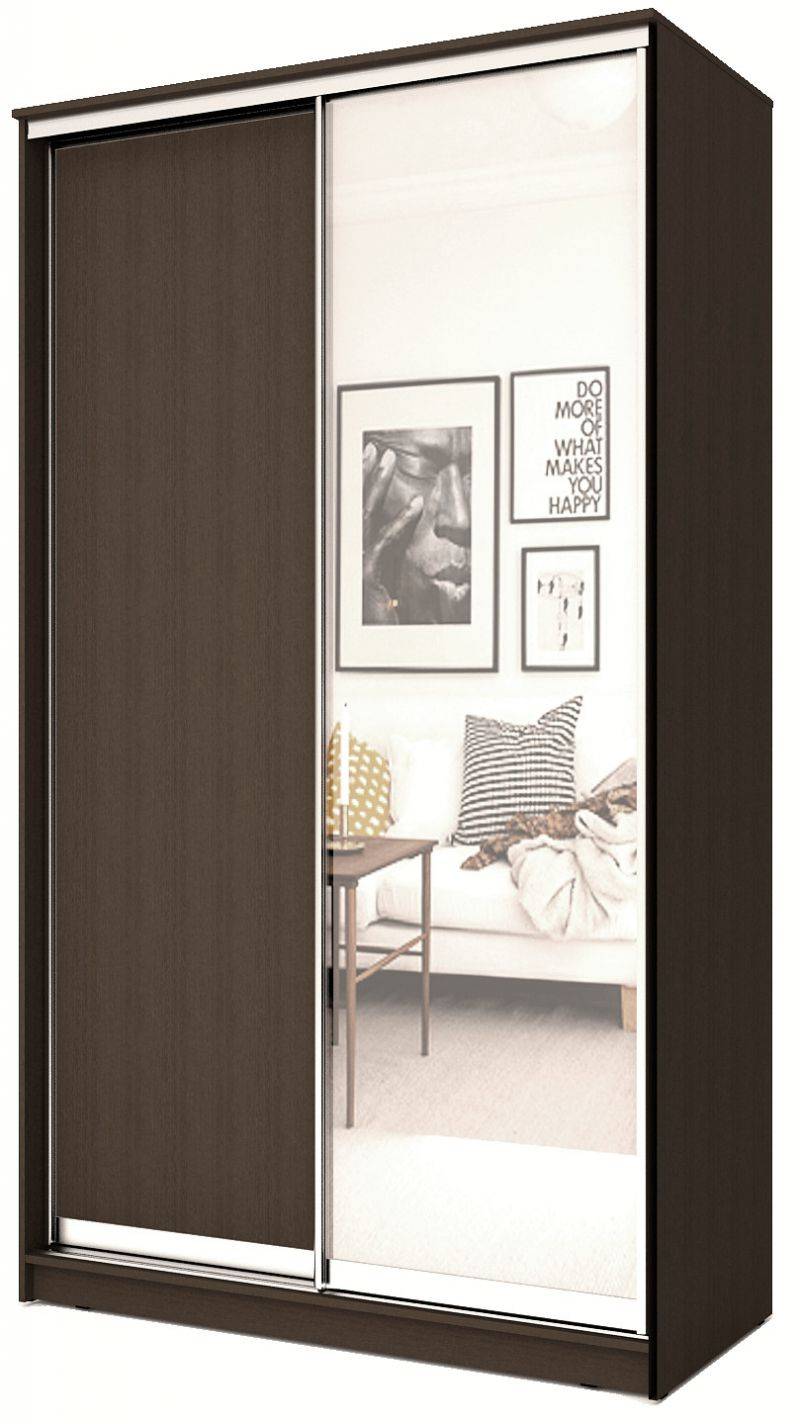 шкаф-купе 2-х дверный с одним зеркалом в Нижневартовске