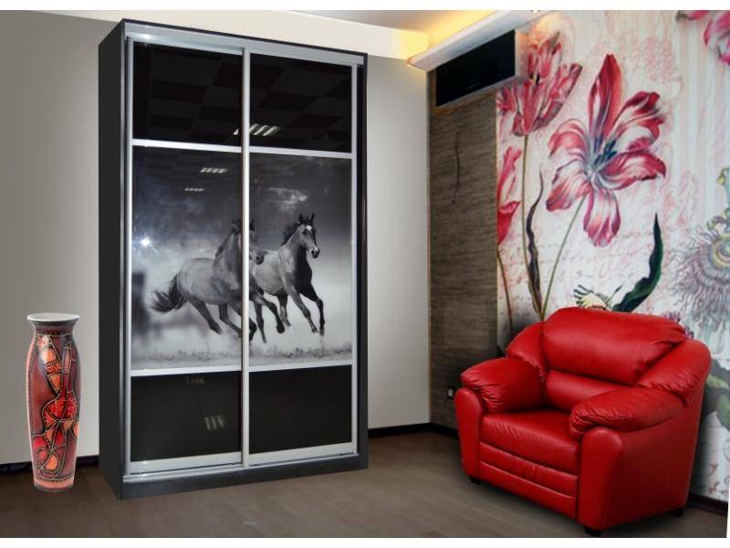 шкаф-купе с фотопечатью в Нижневартовске