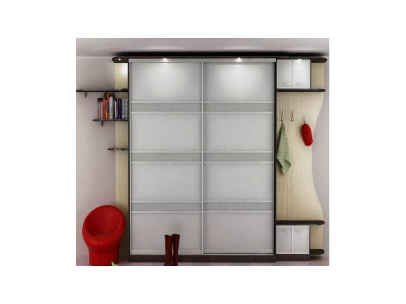 шкаф-купе в стиле модерн в Нижневартовске