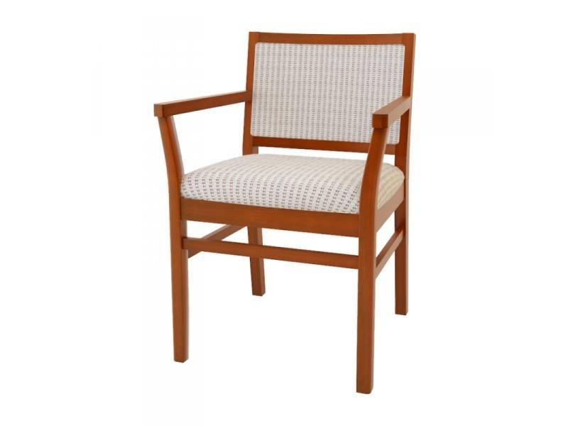 стул денди 11-21 в Нижневартовске