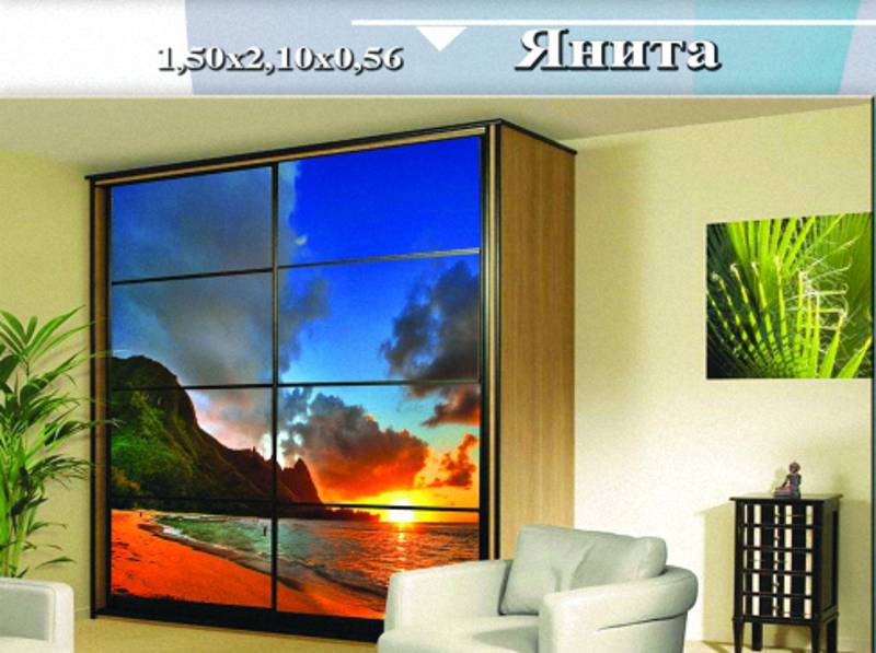 шкаф-купе «янита» в Нижневартовске