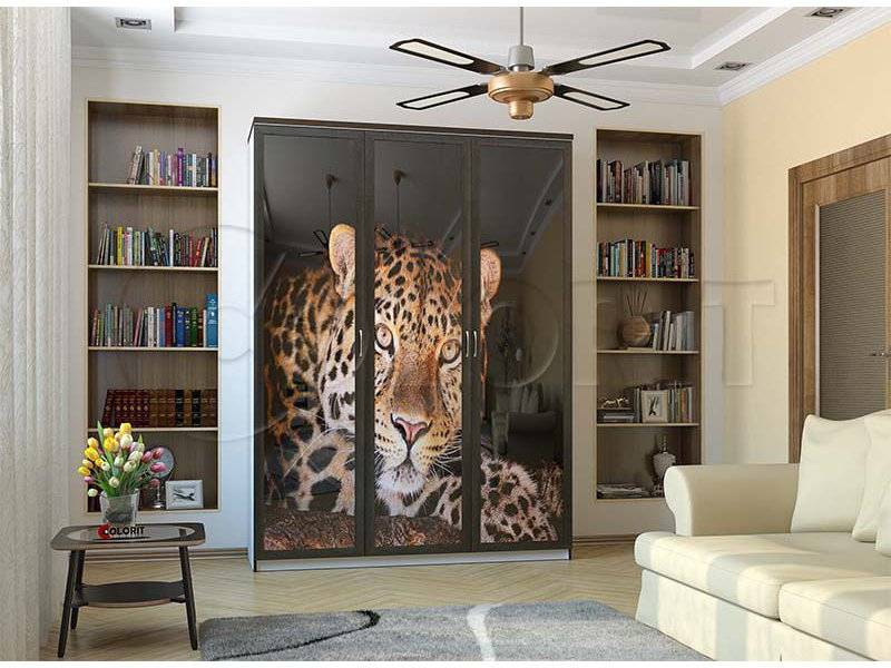 распашной шкаф шр10-шр11 в Нижневартовске