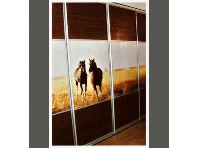 шкаф-купе в Нижневартовске