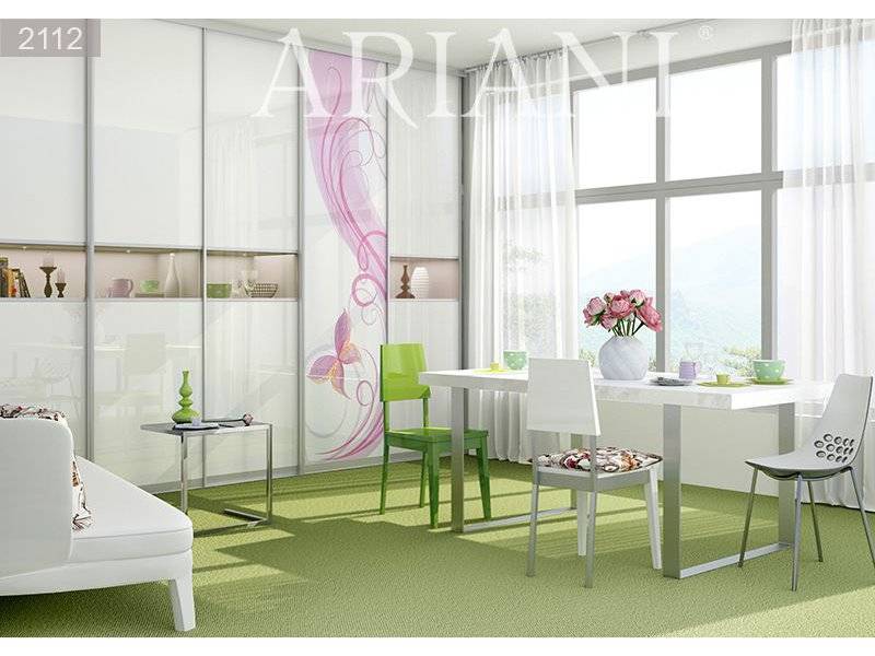 шкаф-купе ди сопра со стеклом и фотопечатью в Нижневартовске