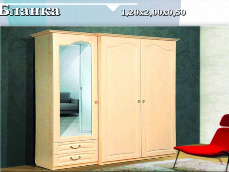 шкаф «бланка» в Нижневартовске