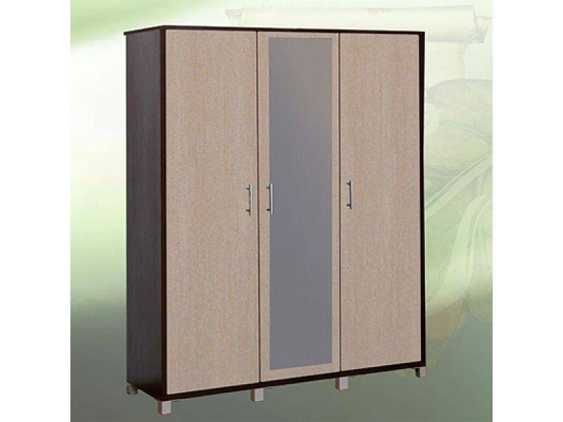 шкаф распашной 3 в Нижневартовске