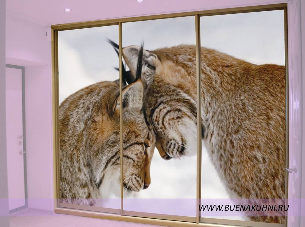 шкаф-купе в Нижневартовске