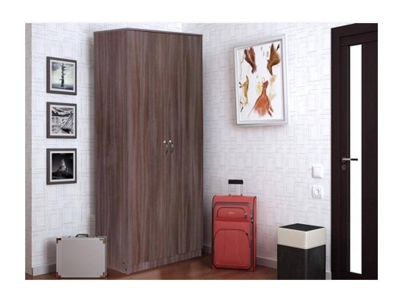 шкаф лиза 2 створки в Нижневартовске