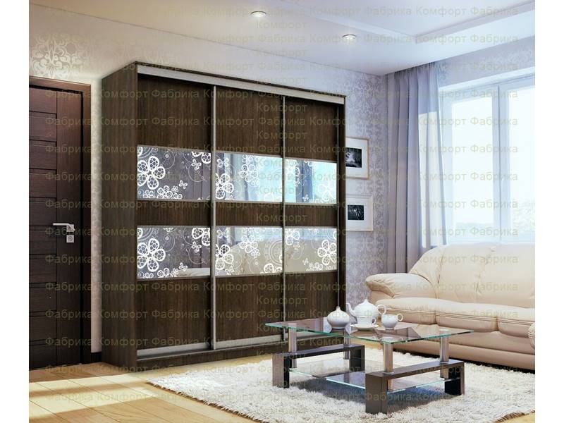 шкаф-купе аристо 20 в Нижневартовске