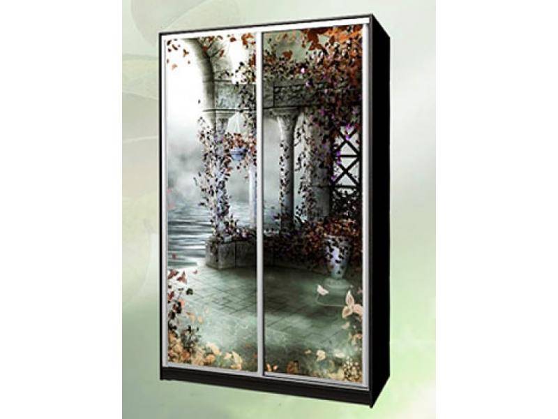 шкаф - купе фотопечать 19 в Нижневартовске