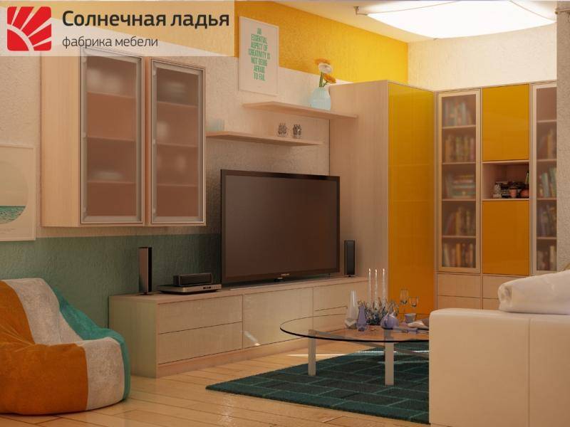 шкаф - купе для гостиной 15 в Нижневартовске