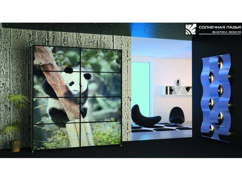 шкаф - купе для гостиной 31 в Нижневартовске