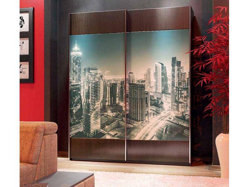 шкаф-купе 2 створки фотопечать в Нижневартовске