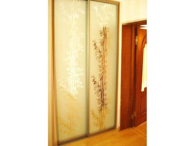 шкаф-купе в Нижневартовске