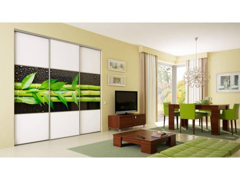 шкаф-купе р-23 в Нижневартовске