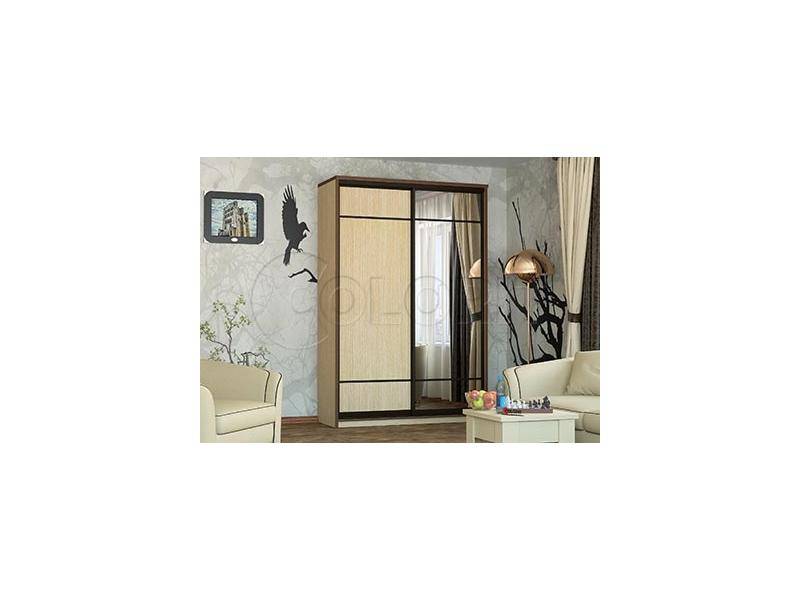 шкаф-купе двухдверный в Нижневартовске