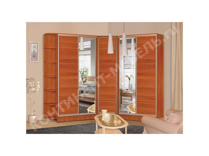 большой шкаф-купе 29 в Нижневартовске