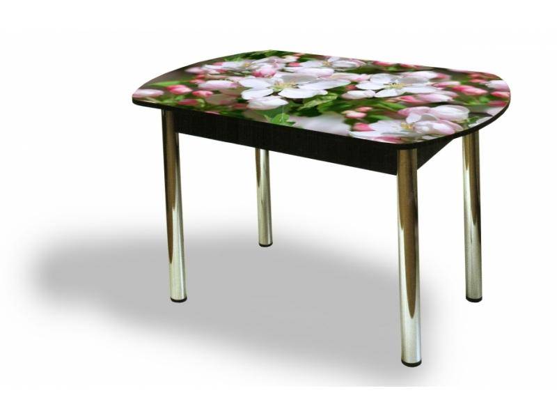 стол европейский с фотопечатью чс 41 в Нижневартовске