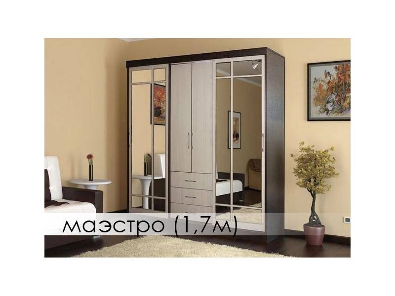 шкаф-купе маэстро в Нижневартовске