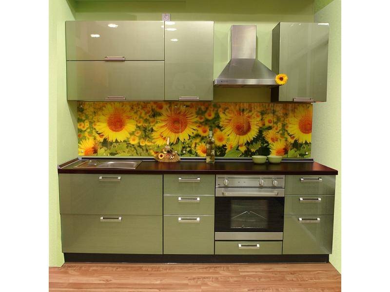 крашенная кухня тефида в Нижневартовске