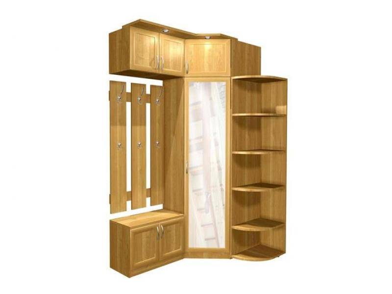 прихожая визит лдсп в Нижневартовске