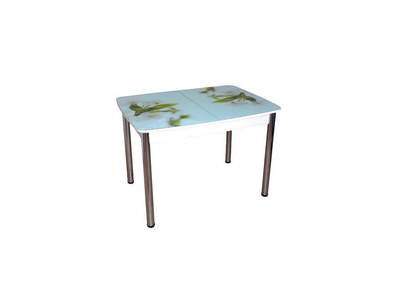 кухонный стол гранд 11 раздвижной с фотопечатью в Нижневартовске