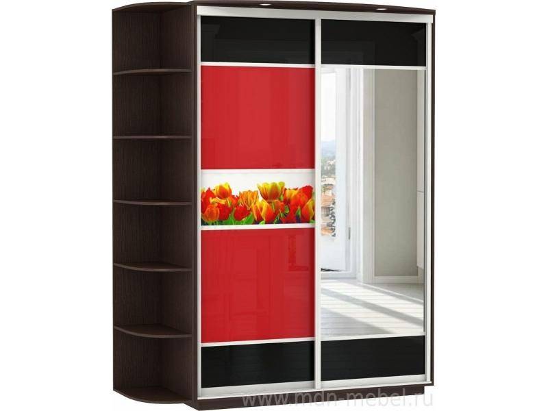 шкаф-купе с фотопечатью и зеркалом в Нижневартовске
