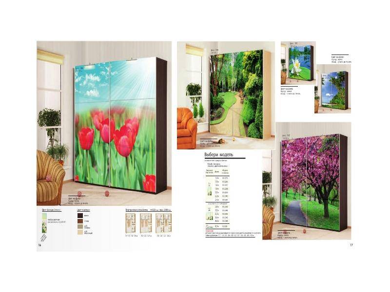 шкаф-купе с фотопечатью в Нижневартовске