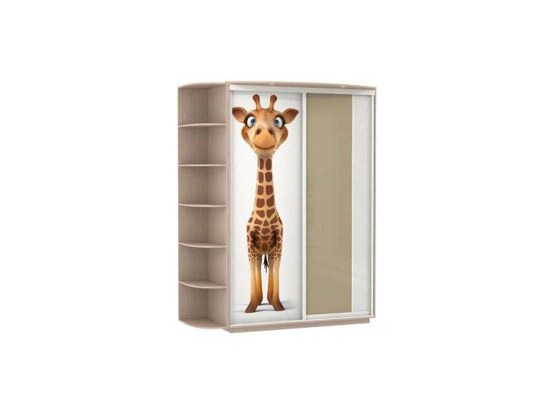 шкаф-купе в детскую с фотопечатью в Нижневартовске