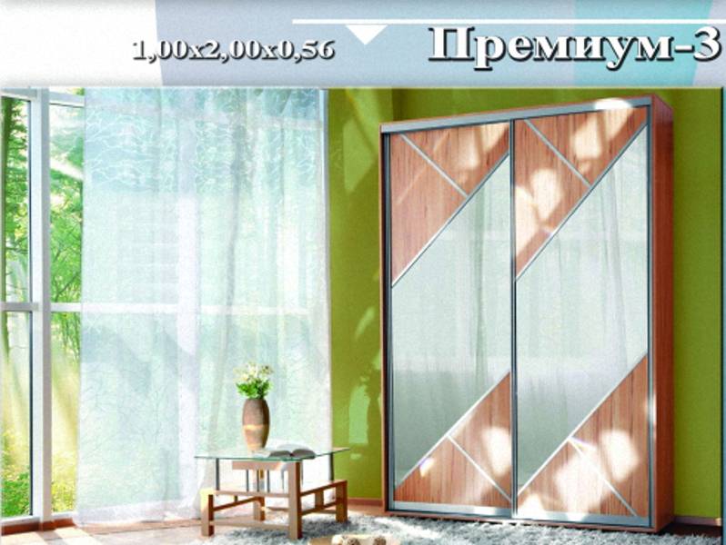 шкаф-купе «премиум 3» в Нижневартовске