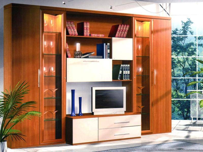 гостиная стенка анатолий кожа в Нижневартовске