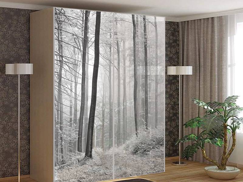 шкаф-купе бизнес с фотопечатью в Нижневартовске