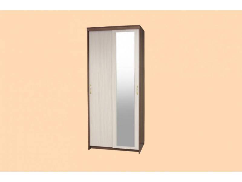 шкаф-купе эконом 2-х дверный в Нижневартовске