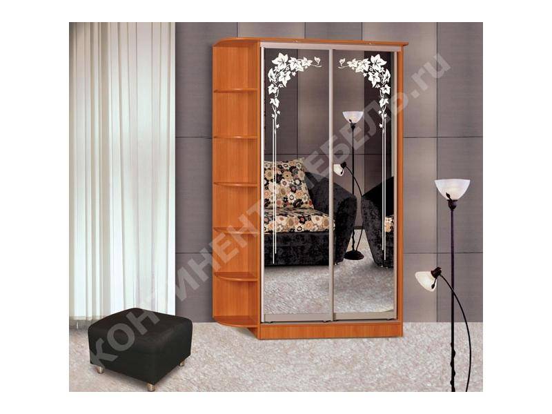 шкаф-купе 9 с двумя зеркалами в Нижневартовске