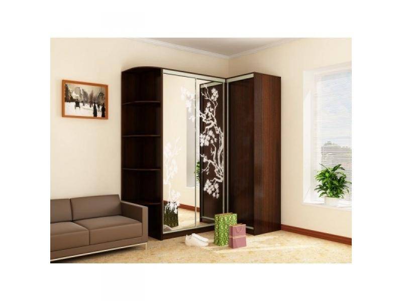 шкаф - купе угловой с рисунком в Нижневартовске