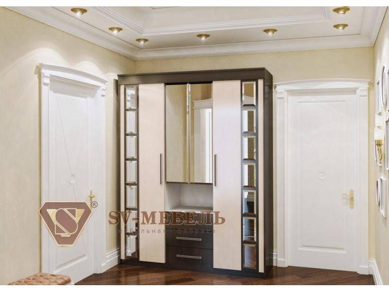 функциональный шкаф-купе 12 в Нижневартовске