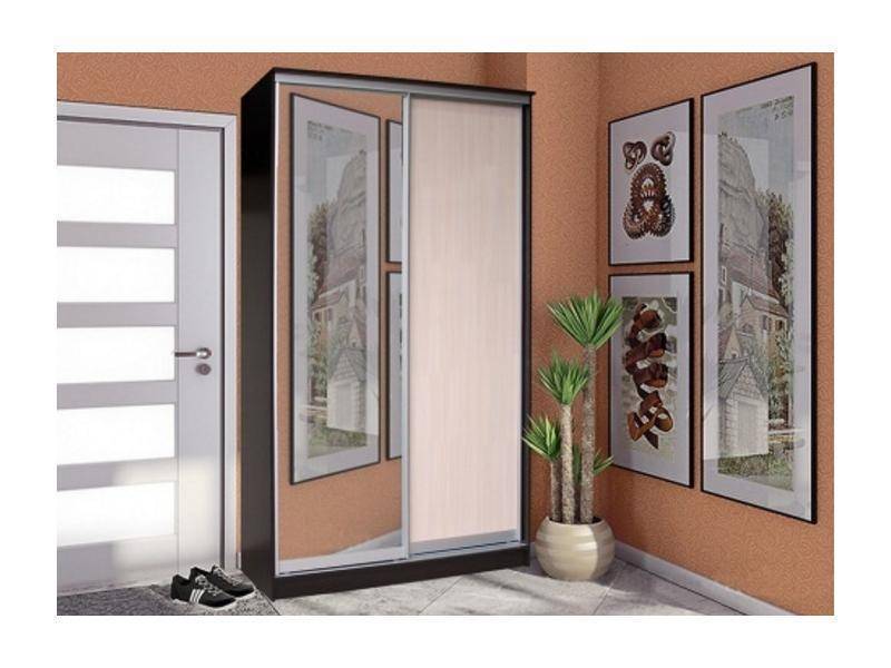 шкаф-купе 2 створки с зеркалом стандарт в Нижневартовске