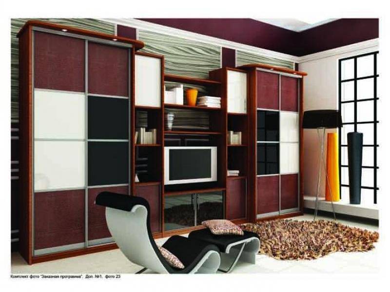 шкаф - купе модель 227 в Нижневартовске