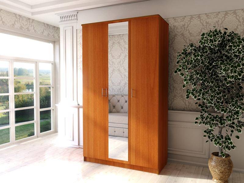 шкаф распашной с зеркалом шр 3 в Нижневартовске