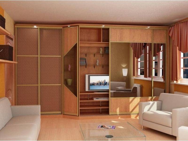 шкаф - купе модель 219 в Нижневартовске