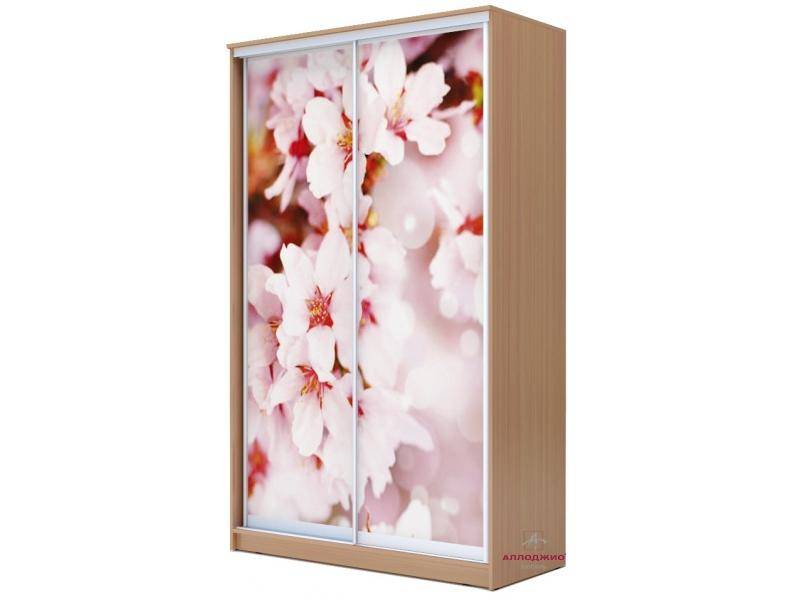 шкаф-купе хит с фотопечатью в Нижневартовске
