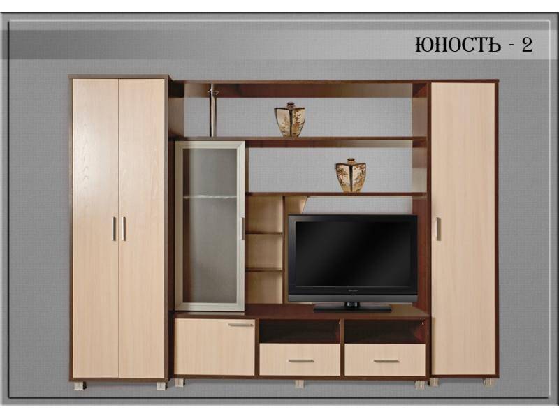 гостиная стенка юность2 в Нижневартовске