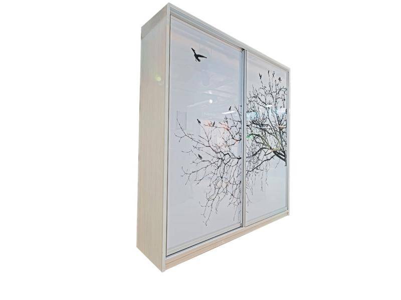 шкаф-купе с фотопечатью в Нижневартовске