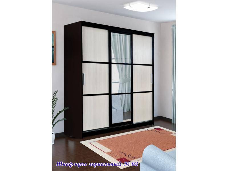 шкаф-купе зеркальный 03 в Нижневартовске