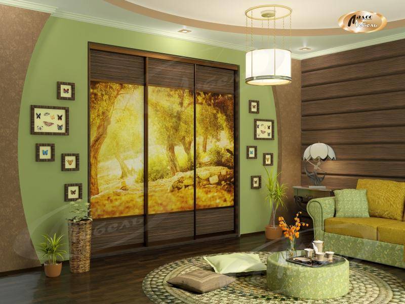 шкаф - купе «солнечный сад» в Нижневартовске