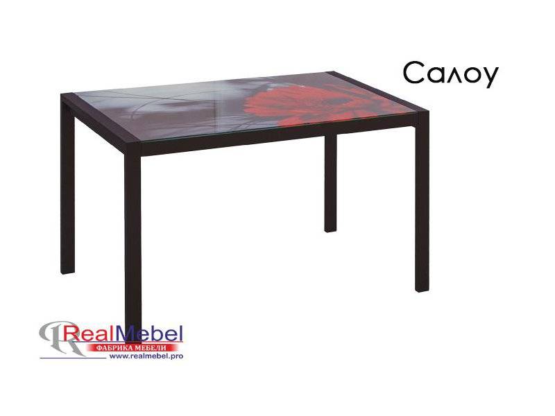 стол салоу (сс 08) с фотопечатью в Нижневартовске