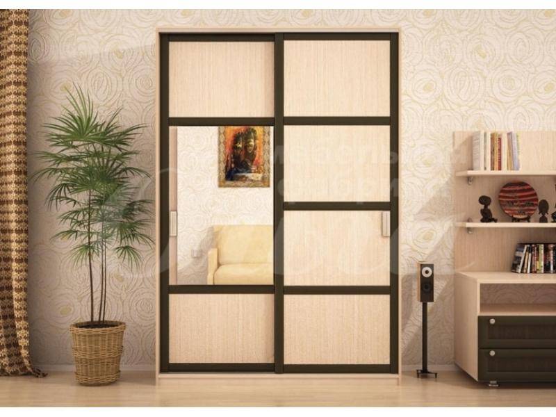 шкаф-купе со вставками кенгуру в Нижневартовске